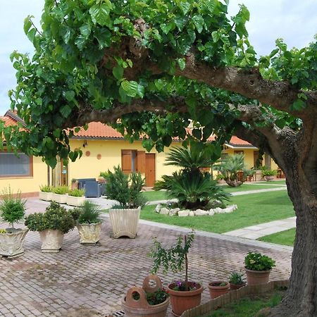 Le Terre Di Bac Bed and Breakfast Borgo Montenero Eksteriør billede