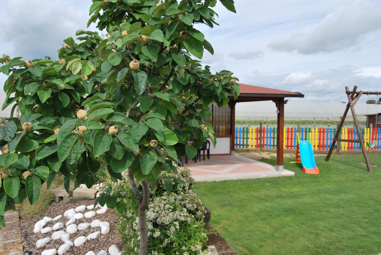 Le Terre Di Bac Bed and Breakfast Borgo Montenero Eksteriør billede